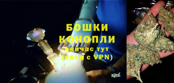 шишки Володарск