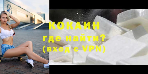 сатива Верея