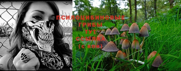шишки Володарск