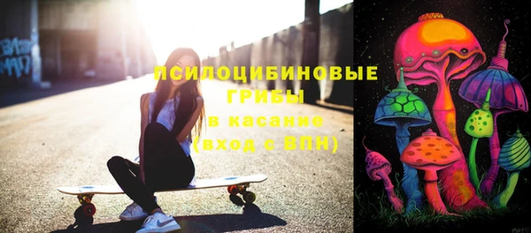 шишки Володарск