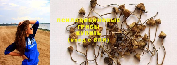 шишки Володарск