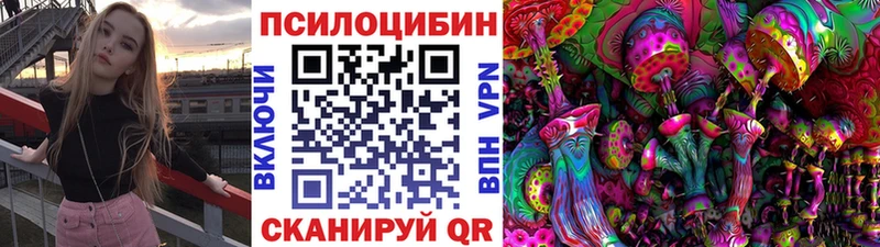 закладки  Пермь  blacksprut ТОР  Галлюциногенные грибы Psilocybe 